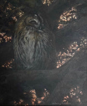 Load image into Gallery viewer, Twilight Owl