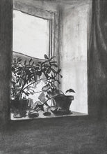 Load image into Gallery viewer, Plant in Window