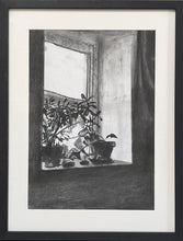 Load image into Gallery viewer, Plant in Window