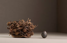 Load image into Gallery viewer, Blackberry Nest with Egg