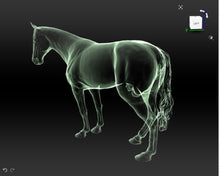 Load image into Gallery viewer, Heddwch : Peace