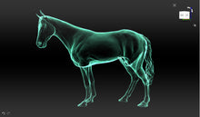 Load image into Gallery viewer, Heddwch : Peace