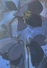 Load image into Gallery viewer, Deep Plum Hellebores