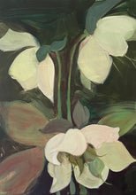 Load image into Gallery viewer, White Hellebores
