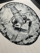 Load image into Gallery viewer, Lobster on a Plate #1