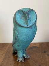 Load image into Gallery viewer, Wise Owl