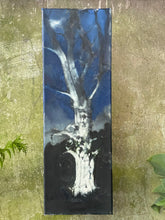 Load image into Gallery viewer, Illuminated Oak