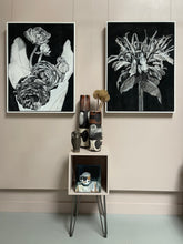 Load image into Gallery viewer, Monarda