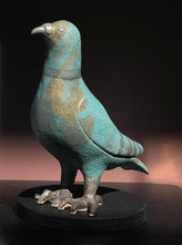 Load image into Gallery viewer, Pigeon