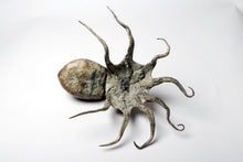 Load image into Gallery viewer, Octopus