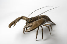 Load image into Gallery viewer, Lobster