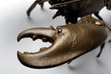 Load image into Gallery viewer, Lobster