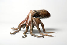 Load image into Gallery viewer, Octopus