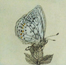 Load image into Gallery viewer, Blue Butterfly