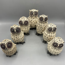 Load image into Gallery viewer, Parliament Owl V