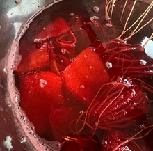 Load image into Gallery viewer, Botanical Dyeing Workshop with Madder with Siân Lester