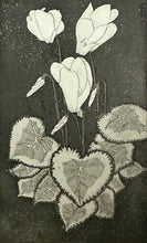 Load image into Gallery viewer, Cyclamen