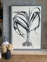 Load image into Gallery viewer, Cennin : Leek