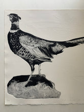 Load image into Gallery viewer, Ffesant yn y Mwyar