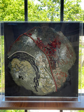 Load image into Gallery viewer, Forest : Concave Disc