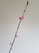 Load image into Gallery viewer, Paper Cherry Blossom