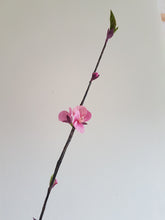 Load image into Gallery viewer, Paper Cherry Blossom