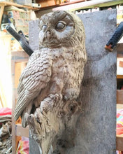 Load image into Gallery viewer, Tawny Owl