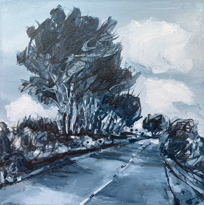 Windblown Trees on an Open Road