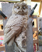 Load image into Gallery viewer, Tawny Owl