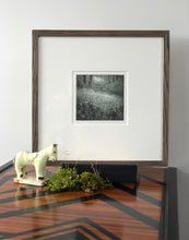 Load image into Gallery viewer, Moss