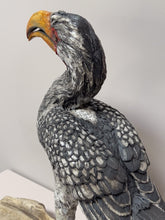 Load image into Gallery viewer, Yellow Billed Hornbill
