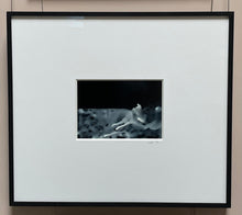 Load image into Gallery viewer, Wind Swell