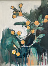 Load image into Gallery viewer, Buddleja Globosa (Orange Ball Plant)