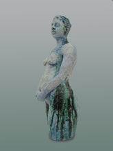 Load image into Gallery viewer, After the flood