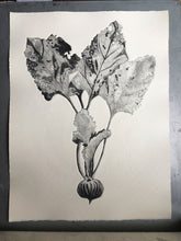 Load image into Gallery viewer, BETYS