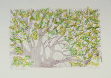 Load image into Gallery viewer, Coeden Bywyd : Tree Of Life