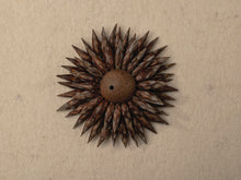 Load image into Gallery viewer, Growth : Full Collective