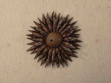 Load image into Gallery viewer, Copy of Growth : Bud and Gall