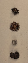 Load image into Gallery viewer, Copy of Growth : Bud and Gall