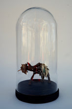 Load image into Gallery viewer, EX 2