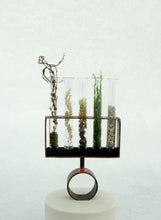 Load image into Gallery viewer, Testing times