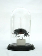 Load image into Gallery viewer, Under the sea