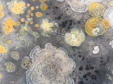 Load image into Gallery viewer, Universe