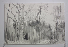 Load image into Gallery viewer, Coed Caer Bedw, Rhagfyr