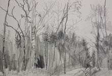 Load image into Gallery viewer, Coed Caer Bedw, Rhagfyr