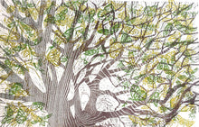 Load image into Gallery viewer, Coeden Bywyd : Tree Of Life