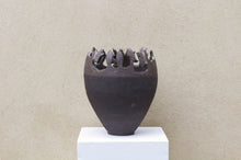 Load image into Gallery viewer, Leaves, Goats and Sun Pot