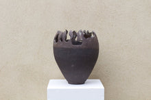 Load image into Gallery viewer, Leaves, Goats and Sun Pot