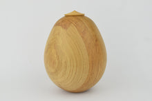 Load image into Gallery viewer, Sweet Chestnut and Boxwood Lidded Vessel