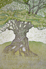 Load image into Gallery viewer, Entwined